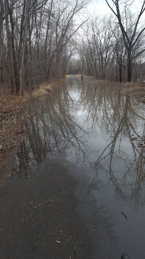 ACP-MHBHT 4-5-17 (5)