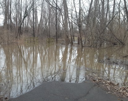 ACP-MHBHT 4-5-17 (6)